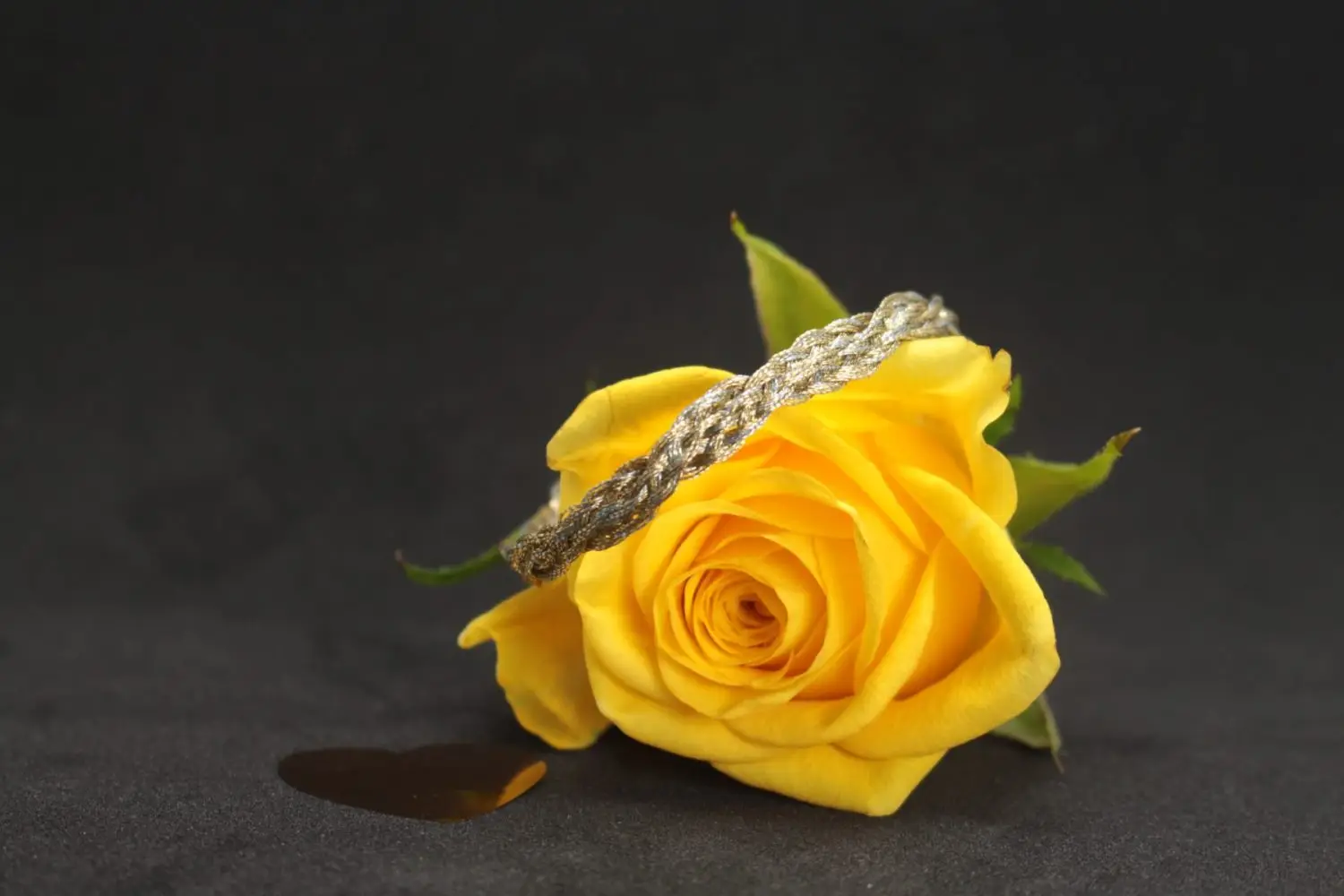 The Plaited Duet (gold edition) – Bild 4